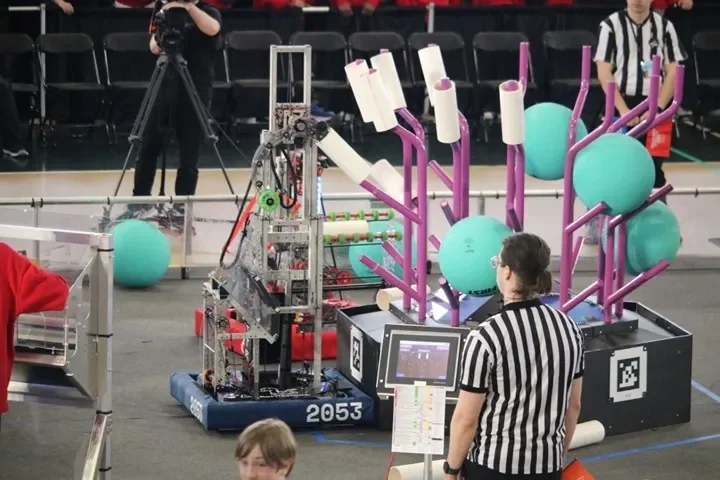 Rattlesnake scoring a coral on level 3