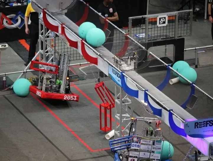 Rattlesnake climbing the cage