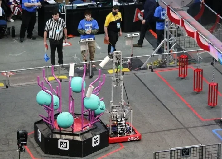 Rattlesnake scoring a coral on level 4