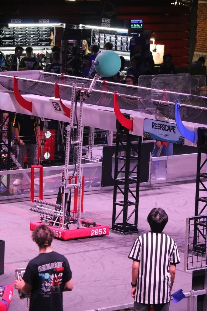 Rattlesnake scoring an alga into the net