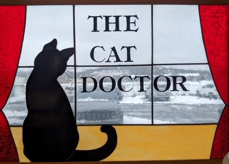 The Cat Doctor