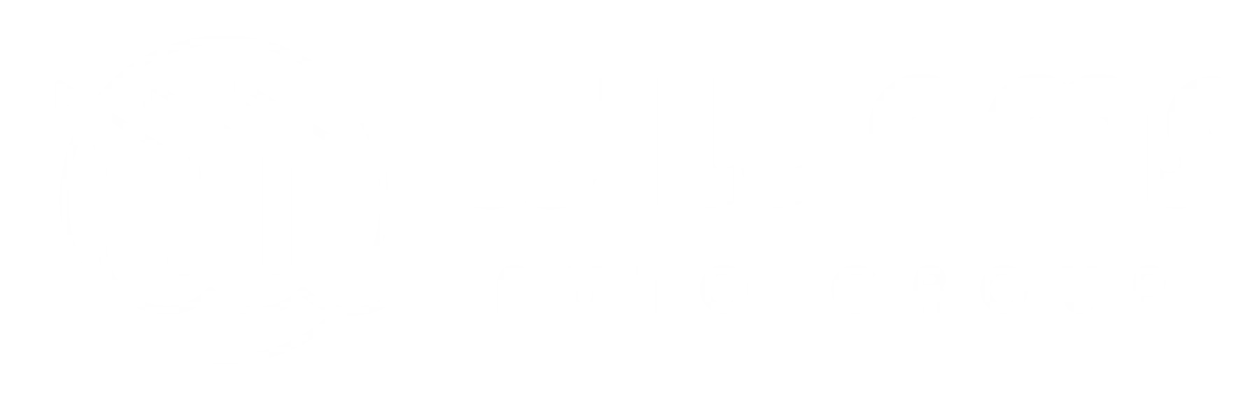 Williams Auto